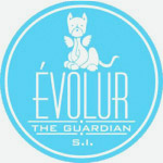 Evolur Solutions